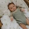 Little Toy Chest, Baby Duvet Set, Ivory - Duvet Sets - 6