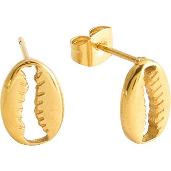 Cowrie Shell Studs, Gold