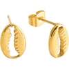 Cowrie Shell Studs, Gold - Earrings - 1 - thumbnail