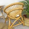 Maya Kids Handcrafted Rattan Chair With Cushion, Honey Brown - Kids Seating - 6 - thumbnail
