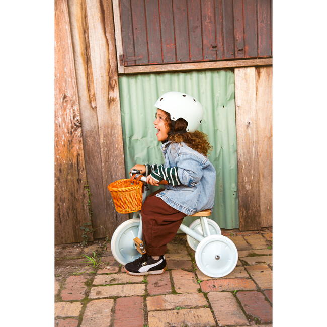 BANWOOD TRIKE FOREST