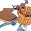 BANWOOD TRIKE BLUE - Tricycles - 5 - thumbnail