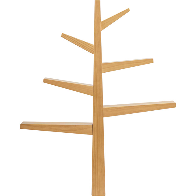 Spruce Tree Bookcase in Honey