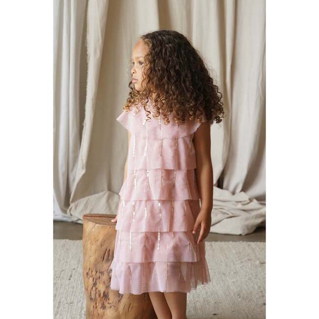 Veneda Tiered Embellished Tulle Dress, Birthday Cake - Dresses - 3