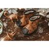 The Dexter, Dinosaur - Boots - 2