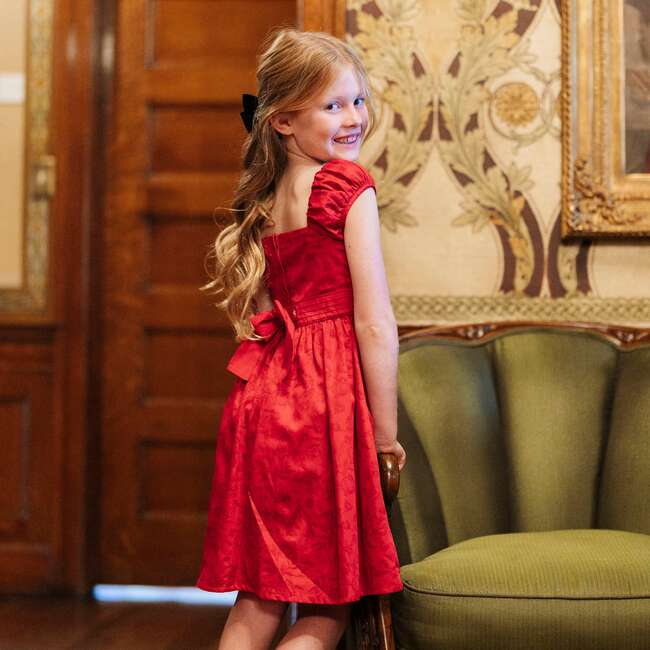 Organic Puff Sleeve Sateen Party Dress, Fireside Toile