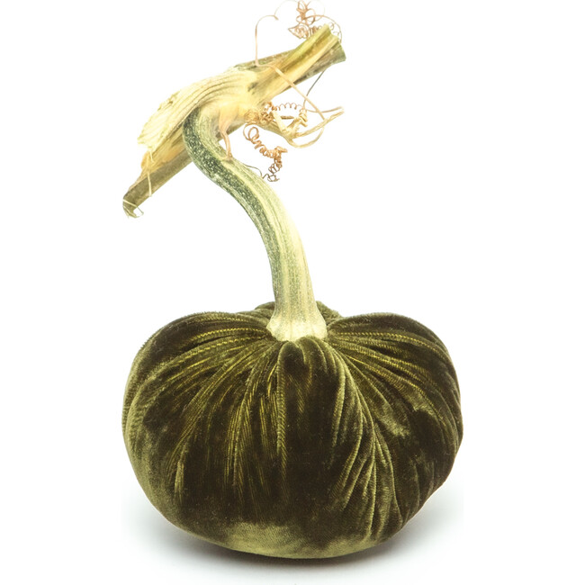 Velvet Pumpkin, Moss