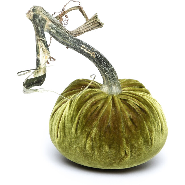 Velvet Pumpkin, Cactus - Accents - 1