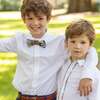 Baker Bow Tie, Townsend Tartan - Bowties & Ties - 4