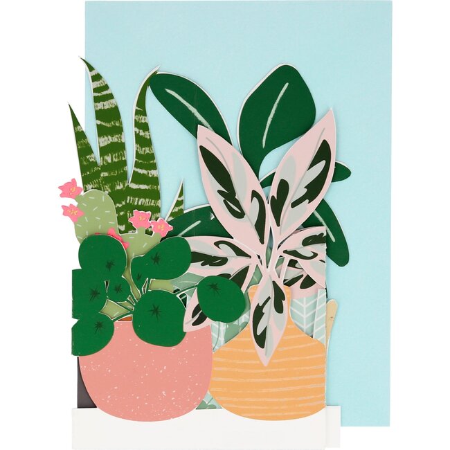 Potted Plant Card