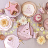 Pink Witch Hat Plates - Party - 2