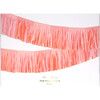 Pink Fringe Garland - Party - 4