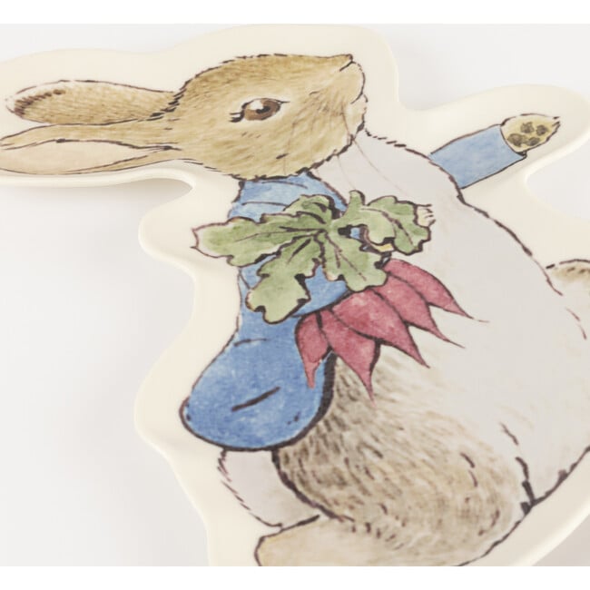 Peter Rabbit™ Reusable Plate - Party - 2