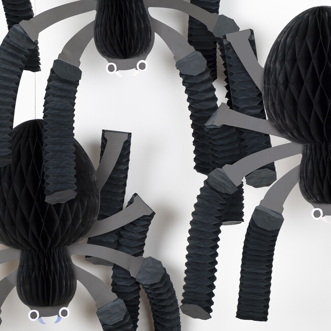 Honeycomb Spiders - Party - 3