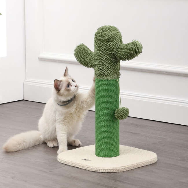 Pecos 21" Jute Cactus Cat Scratching Post with Fuzzy Toy, Green/White - Pet Accessories - 3