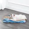 Kokomo 23.75" Cardboard Lounge Bed Cat Scratcher with Catnip, Blue - Pet Accessories - 2