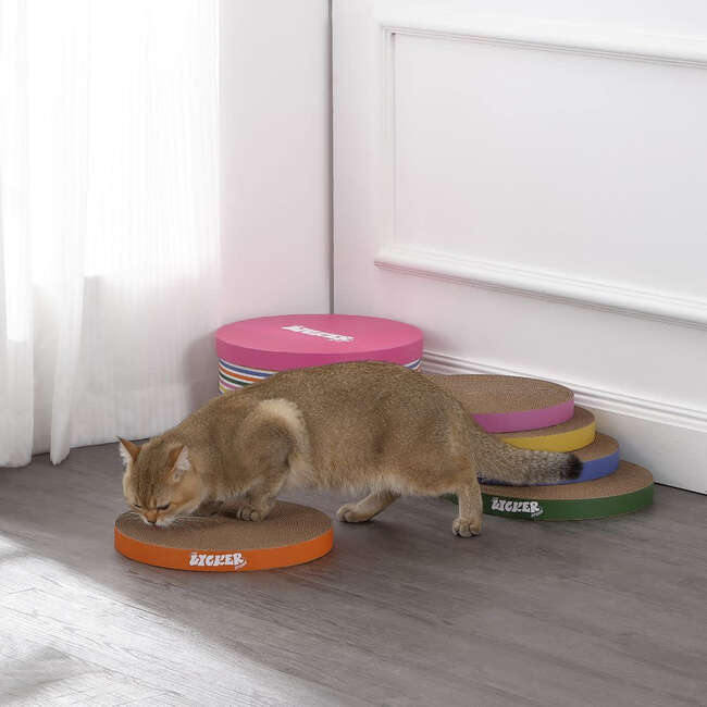 Kate 12" Patterned Cardboard Reversible Cat Scratcher Pad in Box with Catnip, Multi Colored (5 Pack) - Pet Accessories - 2