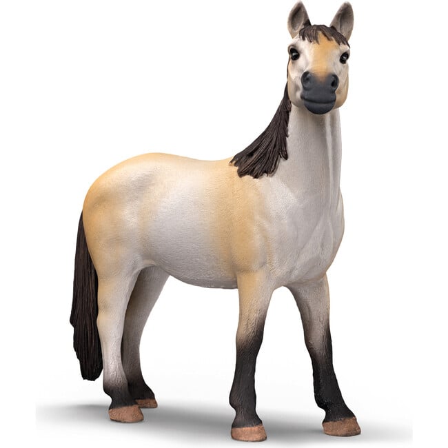 Farm World: Ponybox & Mustang Mare - Playsets - 7