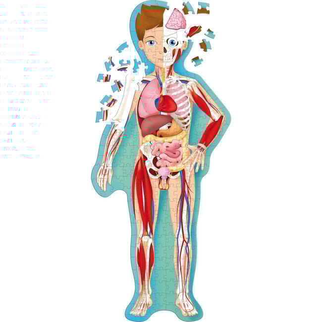 Travel, Learn & Explore: The Human Body - Puzzles - 2