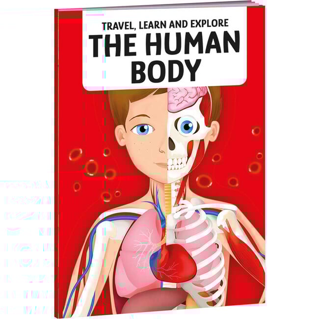 Travel, Learn & Explore: The Human Body - Puzzles - 3