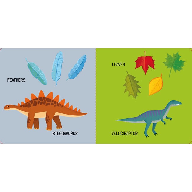 Q-Box: The Dinosaurs - Books - 5