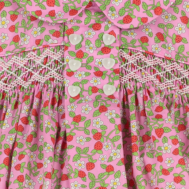 Alexis Baby Dress, Strawberry Floral - Dresses - 4