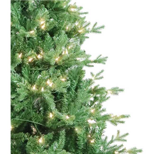 7-Foot Pre-Lit Clear Incandescent Jackson Pine Tree - Trees - 2
