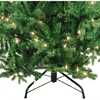 7-Foot Pre-Lit Clear Incandescent Jackson Pine Tree - Trees - 3