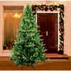 7-Foot Pre-Lit Clear Incandescent Jackson Pine Tree - Trees - 4