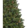 7.5-Foot Pre-Lit Clear Burlington Spruce - Other Accents - 2