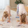 Printed Kids  Yoga Mat, Sesame Street - Yoga Mats - 2