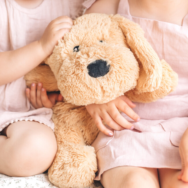 Charlie The Weighted Puppy Dog - Plush - 6