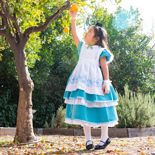 A Leading Role Premium Alice Dress Up