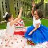 Strawberry Shortcake Child Berry Blue Tulle Skirt - Costumes - 3