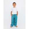 Boy's Bike and Skate Plush Loungewear Pant Teal - Pants - 1 - thumbnail