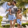 Ocean Grid Swim Short - Swim Trunks - 2