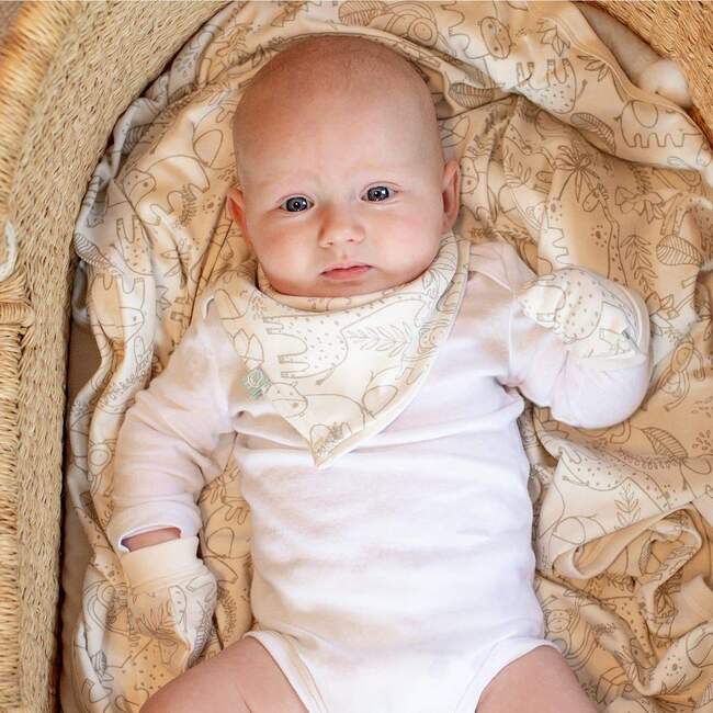 Mittens, 3 Pack Crab