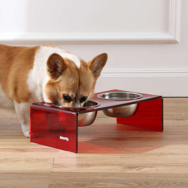 Keaton Modern Acrylic Rectangular Elevated Pet Feeder with 2 Stainless Steel Bowls, Red/Chrome