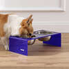 Keaton Modern Acrylic Rectangular Elevated Pet Feeder with 2 Stainless Steel Bowls, Purple/Chrome - Pet Bowls & Feeders - 2