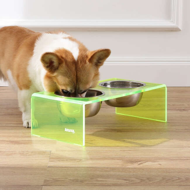Keaton Modern Acrylic Rectangular Elevated Pet Feeder with 2 Stainless Steel Bowls, Green/Chrome