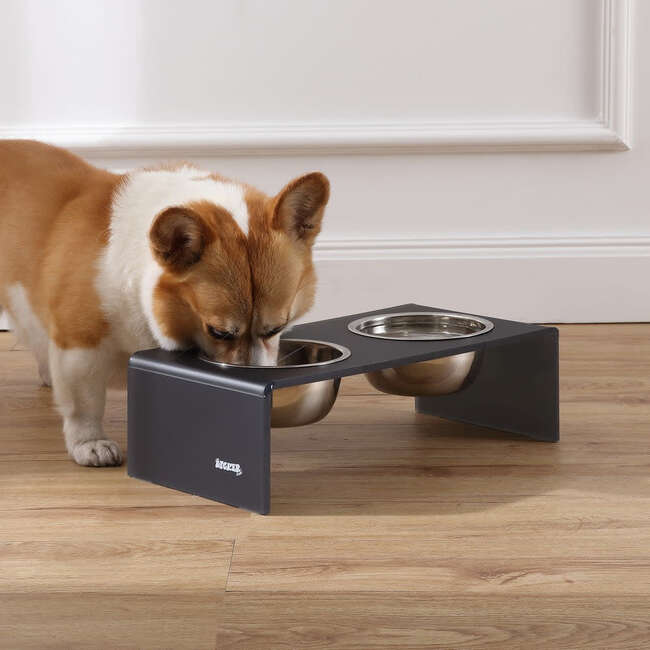 Keaton Modern Acrylic Rectangular Elevated Pet Feeder with 2 Stainless Steel Bowls, Dark Gray/Chrome