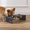 Keaton Modern Acrylic Rectangular Elevated Pet Feeder with 2 Stainless Steel Bowls, Dark Gray/Chrome - Pet Bowls & Feeders - 2