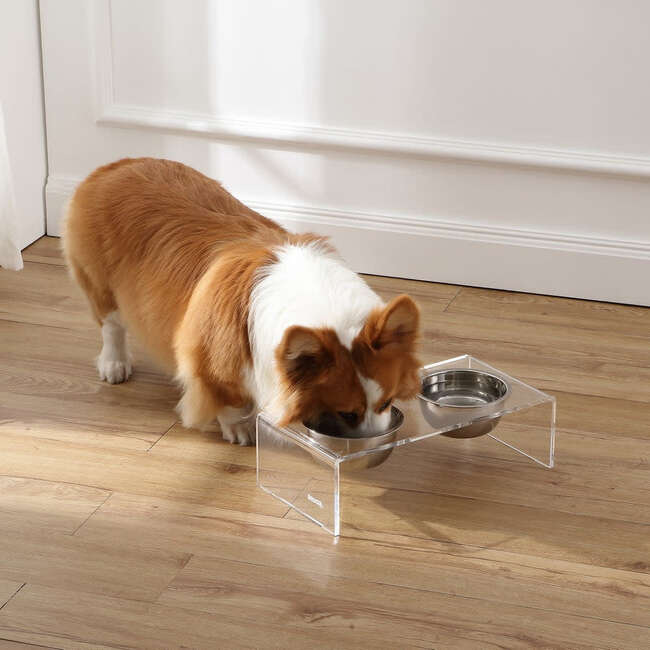 Keaton Modern Acrylic Rectangular Elevated Pet Feeder with 2 Stainless Steel Bowls, Clear/Chrome