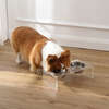 Keaton Modern Acrylic Rectangular Elevated Pet Feeder with 2 Stainless Steel Bowls, Clear/Chrome - Pet Bowls & Feeders - 2 - thumbnail