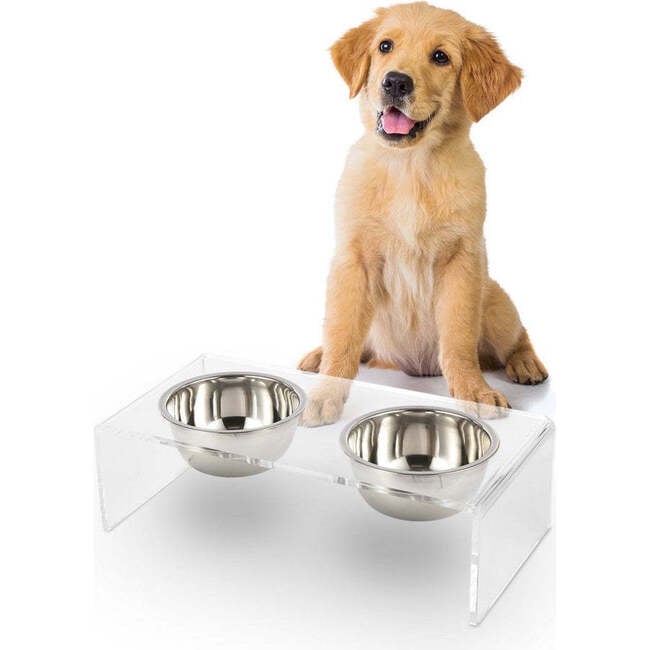 Keaton Modern Acrylic Rectangular Elevated Pet Feeder with 2 Stainless Steel Bowls, Clear/Chrome - Pet Bowls & Feeders - 3