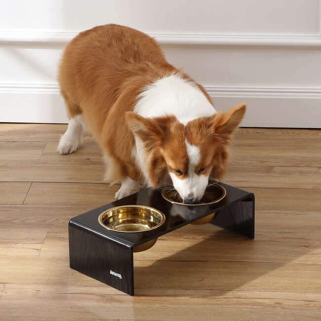 Keaton Modern Acrylic Rectangular Elevated Pet Feeder with 2 Stainless Steel Bowls, Black/Gold
