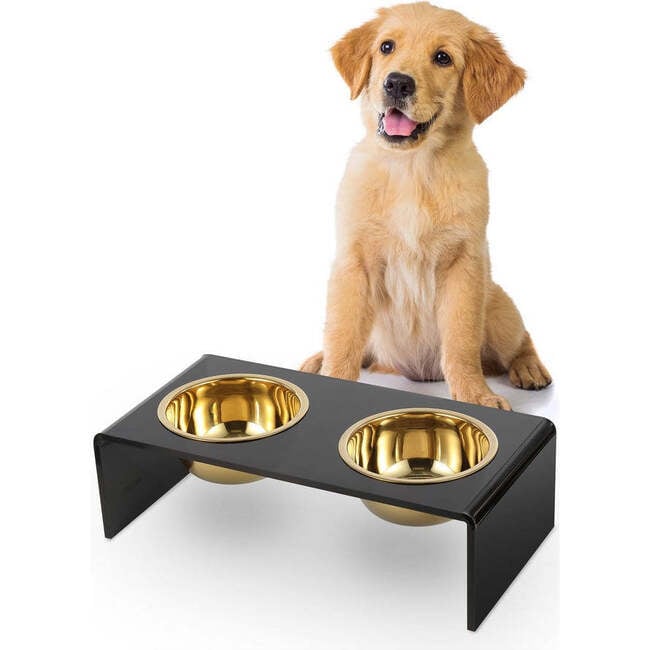 Keaton Modern Acrylic Rectangular Elevated Pet Feeder with 2 Stainless Steel Bowls, Black/Gold - Pet Bowls & Feeders - 3