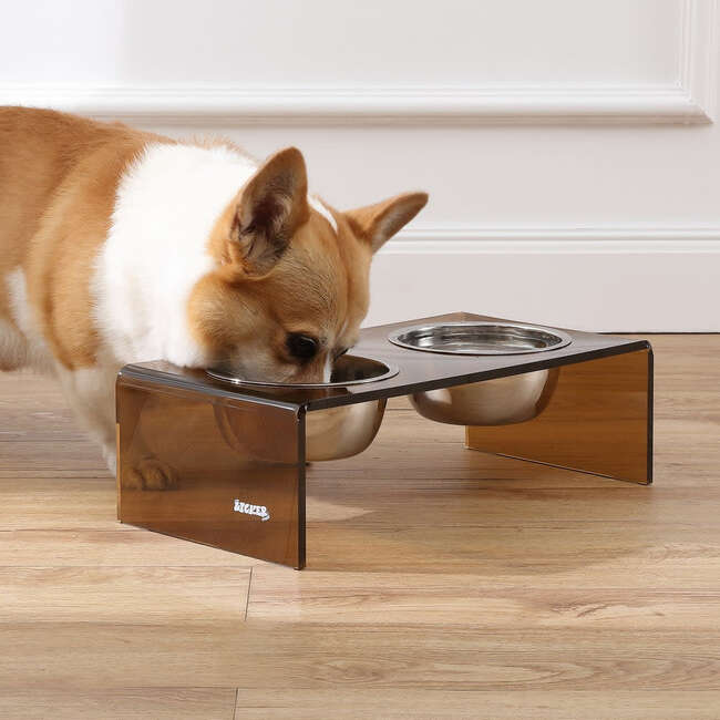 Keaton Modern Acrylic Rectangular Elevated Pet Feeder with 2 Stainless Steel Bowls, Amber/Chrome