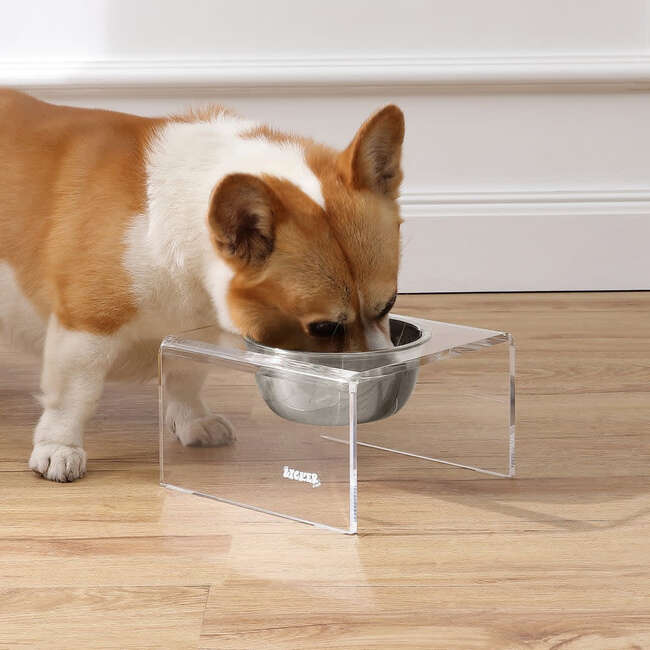 Keaton Modern Acrylic Rectangular Elevated Pet Feeder with 1 Stainless Steel Bowl, Clear/Chrome