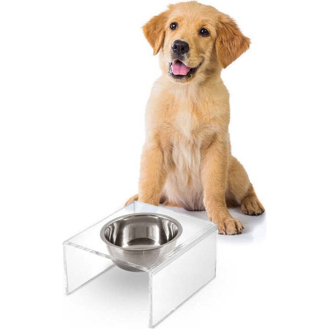 Keaton Modern Acrylic Rectangular Elevated Pet Feeder with 1 Stainless Steel Bowl, Clear/Chrome - Pet Bowls & Feeders - 3